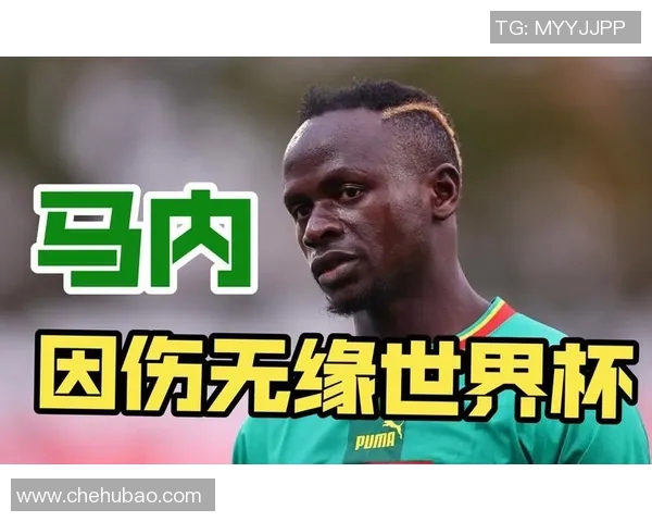 马内的足球传奇：从塞内加尔小镇到世界舞台的辉煌之路