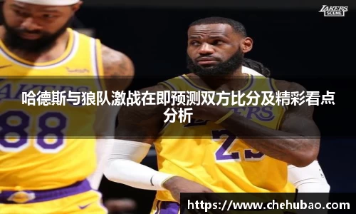 熊猫体育新版本