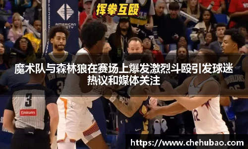 熊猫体育新版本