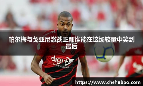 熊猫体育手机下载